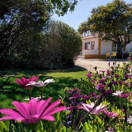 Casas Das Amoreiras Aldeia do Meco Zewnętrze zdjęcie