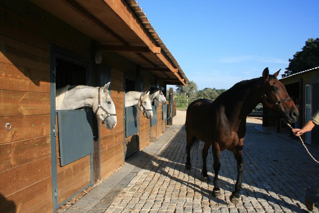 Casas Das Amoreiras Aldeia do Meco Zewnętrze zdjęcie